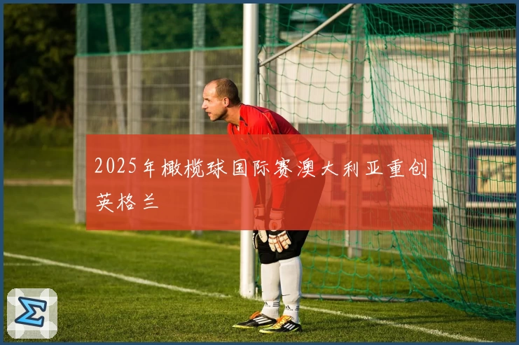 2025年橄榄球国际赛澳大利亚重创英格兰