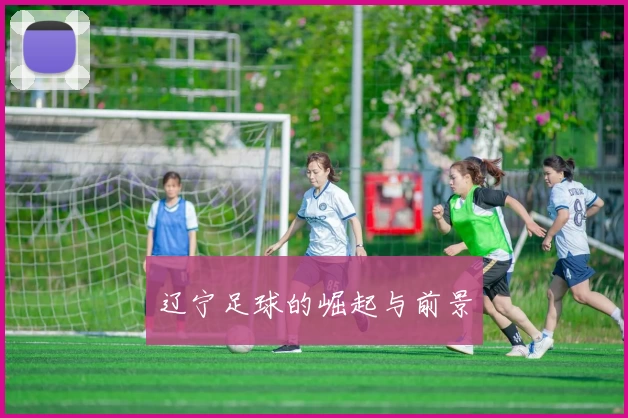 辽宁足球的崛起与前景