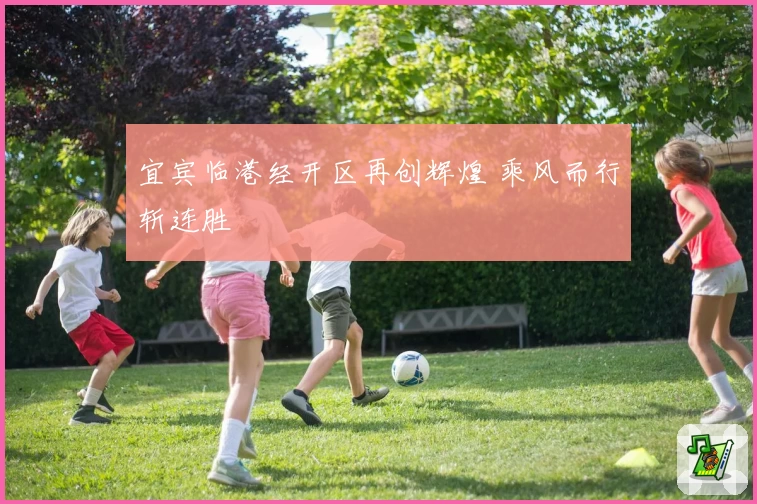 宜宾临港经开区再创辉煌 乘风而行斩连胜